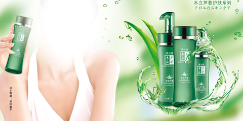 木立蘆薈 從種植到美容研發(fā)的全方位解析